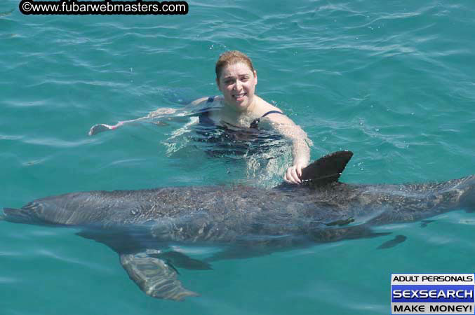 Local Billing Dolphin Encounter and Swim 2005