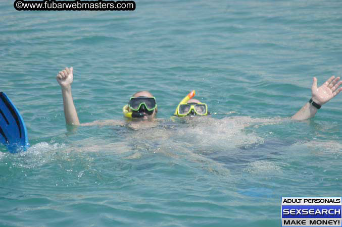  Animal Encounter and Shark Feeding Dive 2005