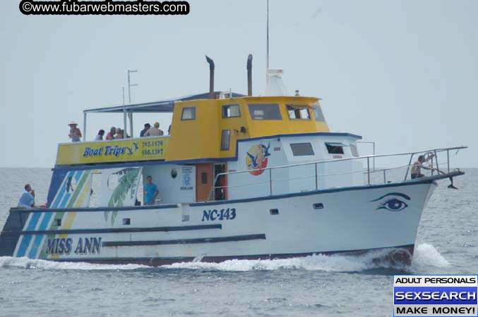  Animal Encounter and Shark Feeding Dive 2005