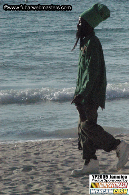 The Beach  2005