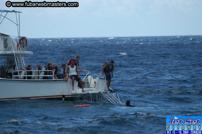 Saturday'sDolphin Swim Adventure and Animal Encounter 2004