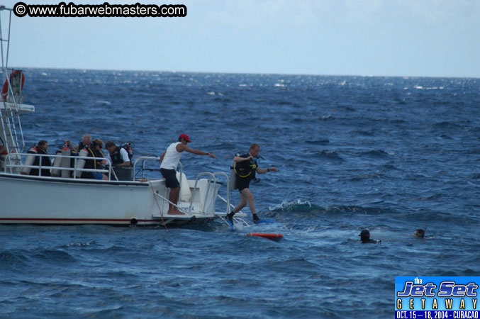 Saturday'sDolphin Swim Adventure and Animal Encounter 2004