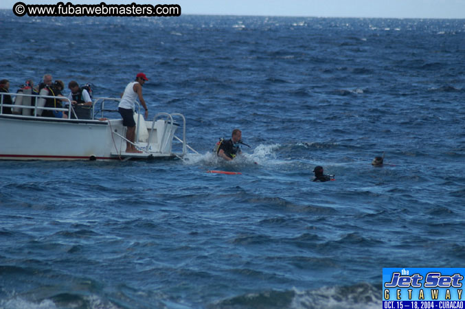 Saturday'sDolphin Swim Adventure and Animal Encounter 2004