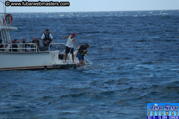 Saturday'sDolphin Swim Adventure and Animal Encounter 2004