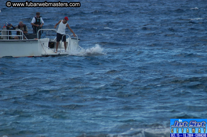 Saturday'sDolphin Swim Adventure and Animal Encounter 2004