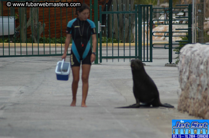 Saturday'sDolphin Swim Adventure and Animal Encounter 2004