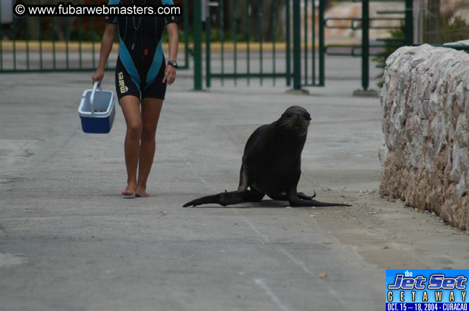 Saturday'sDolphin Swim Adventure and Animal Encounter 2004