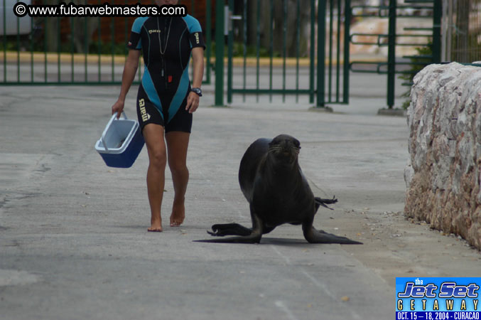 Saturday'sDolphin Swim Adventure and Animal Encounter 2004