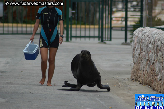 Saturday'sDolphin Swim Adventure and Animal Encounter 2004