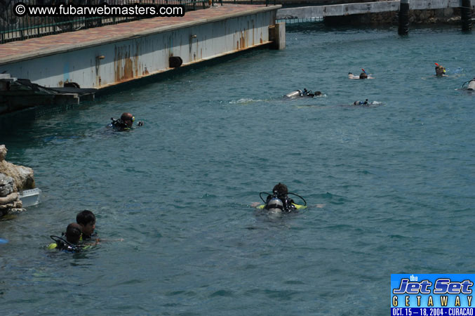 Saturday'sDolphin Swim Adventure and Animal Encounter 2004