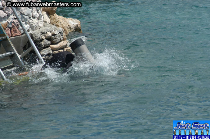 Saturday'sDolphin Swim Adventure and Animal Encounter 2004