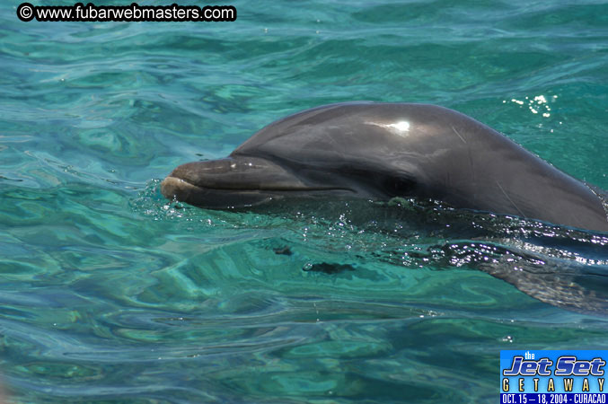 Saturday'sDolphin Swim Adventure and Animal Encounter 2004