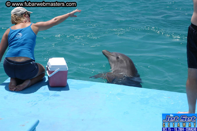 Saturday'sDolphin Swim Adventure and Animal Encounter 2004