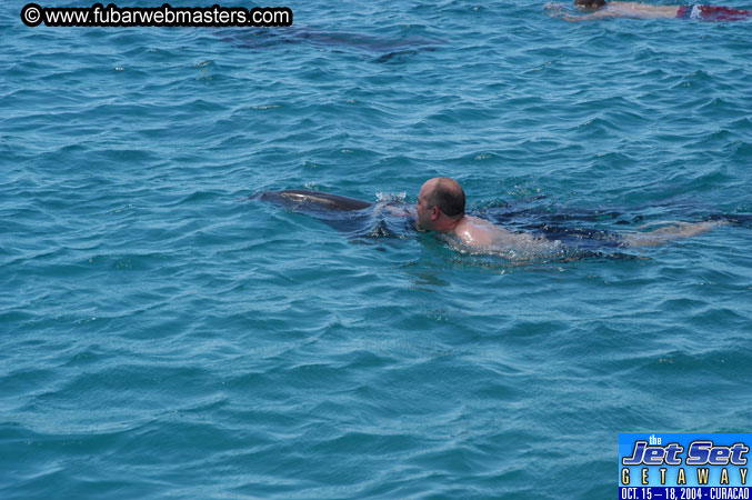 Saturday'sDolphin Swim Adventure and Animal Encounter 2004