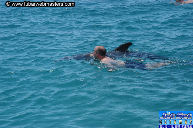 Saturday'sDolphin Swim Adventure and Animal Encounter 2004