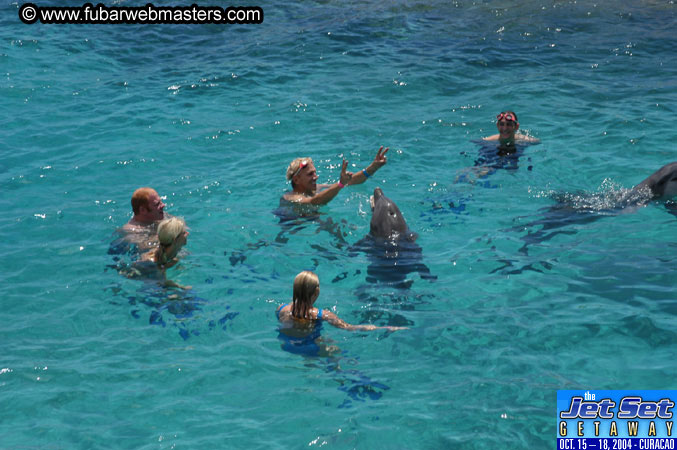 Saturday'sDolphin Swim Adventure and Animal Encounter 2004