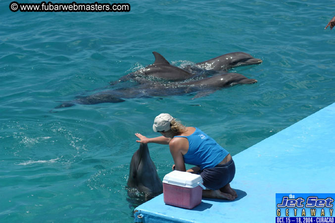 Saturday'sDolphin Swim Adventure and Animal Encounter 2004