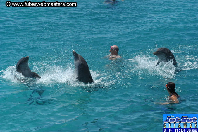 Saturday'sDolphin Swim Adventure and Animal Encounter 2004