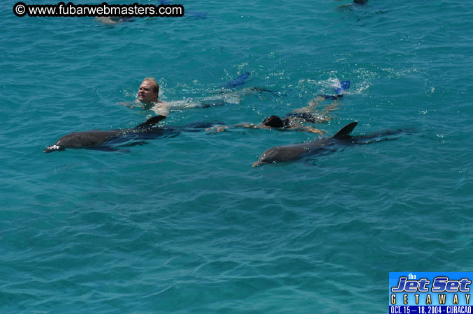 Saturday'sDolphin Swim Adventure and Animal Encounter 2004