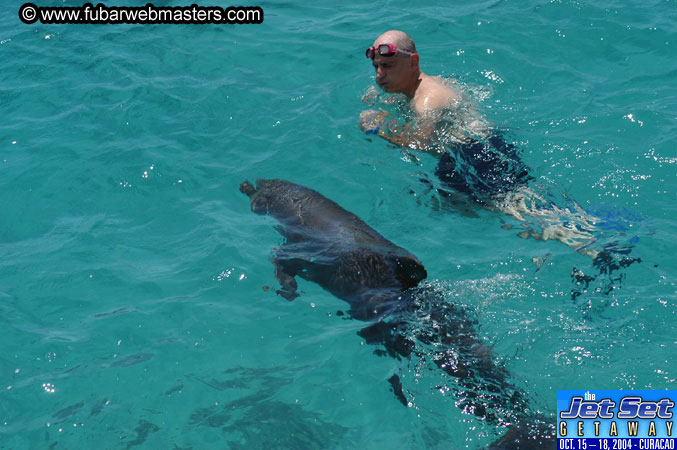 Saturday'sDolphin Swim Adventure and Animal Encounter 2004