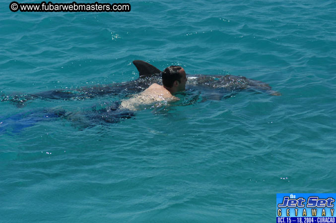 Saturday'sDolphin Swim Adventure and Animal Encounter 2004