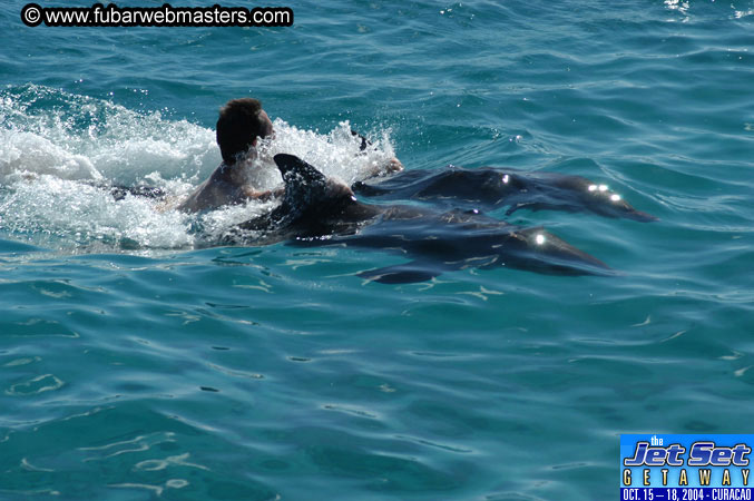 Saturday'sDolphin Swim Adventure and Animal Encounter 2004