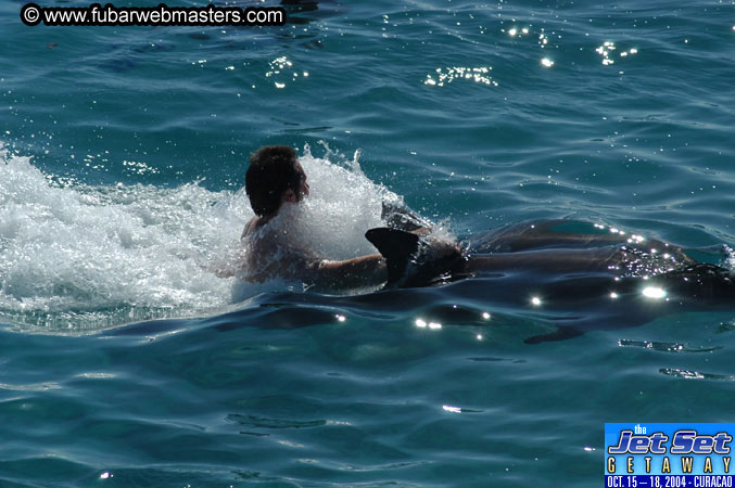 Saturday'sDolphin Swim Adventure and Animal Encounter 2004