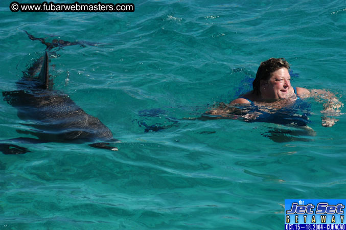 Saturday'sDolphin Swim Adventure and Animal Encounter 2004