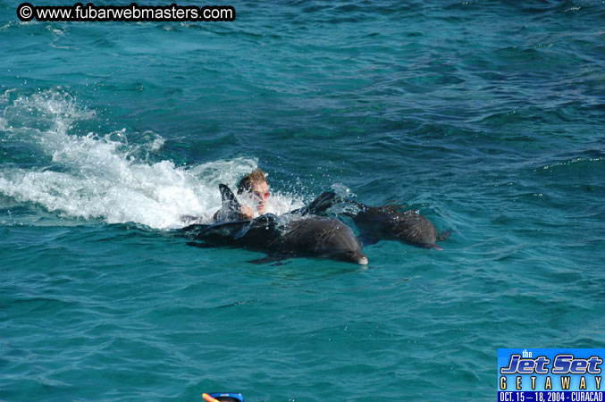 Saturday'sDolphin Swim Adventure and Animal Encounter 2004