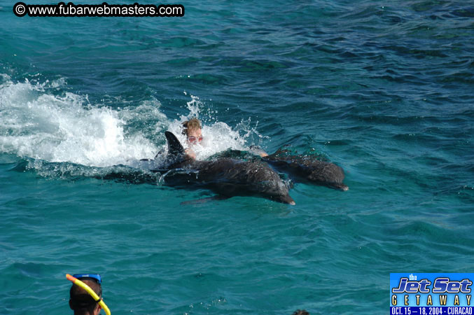 Saturday'sDolphin Swim Adventure and Animal Encounter 2004