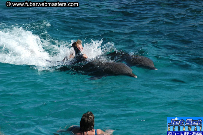 Saturday'sDolphin Swim Adventure and Animal Encounter 2004