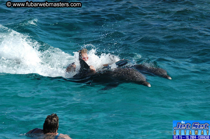 Saturday'sDolphin Swim Adventure and Animal Encounter 2004