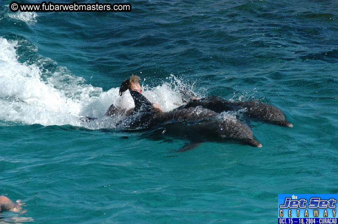 Saturday'sDolphin Swim Adventure and Animal Encounter 2004