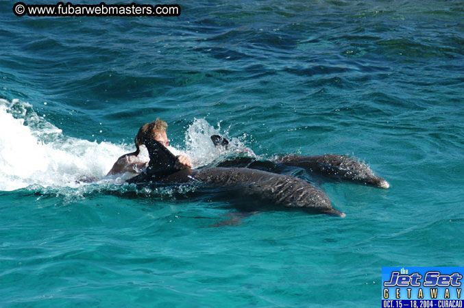 Saturday'sDolphin Swim Adventure and Animal Encounter 2004