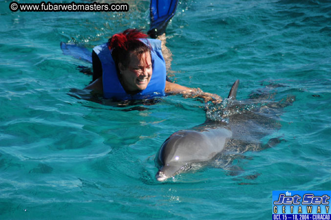 Saturday'sDolphin Swim Adventure and Animal Encounter 2004