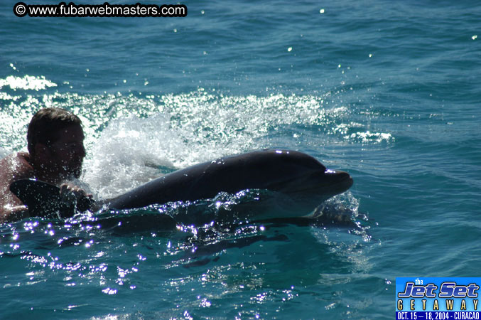 Saturday'sDolphin Swim Adventure and Animal Encounter 2004