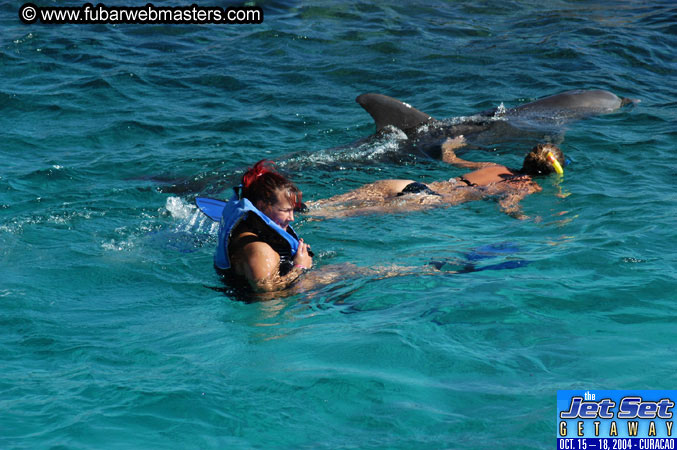 Saturday'sDolphin Swim Adventure and Animal Encounter 2004