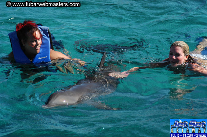 Saturday'sDolphin Swim Adventure and Animal Encounter 2004