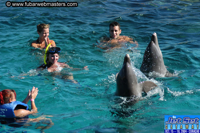 Saturday'sDolphin Swim Adventure and Animal Encounter 2004