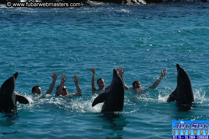 Saturday'sDolphin Swim Adventure and Animal Encounter 2004