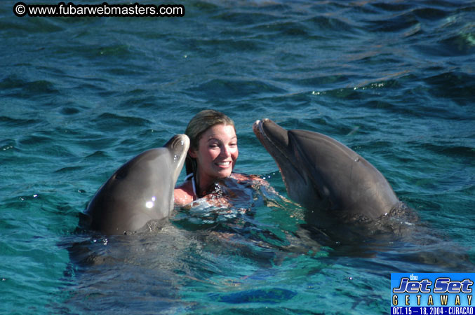 Saturday'sDolphin Swim Adventure and Animal Encounter 2004