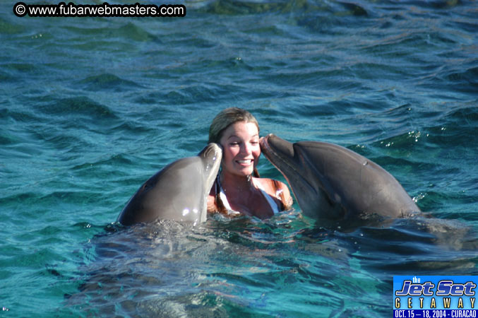 Saturday'sDolphin Swim Adventure and Animal Encounter 2004