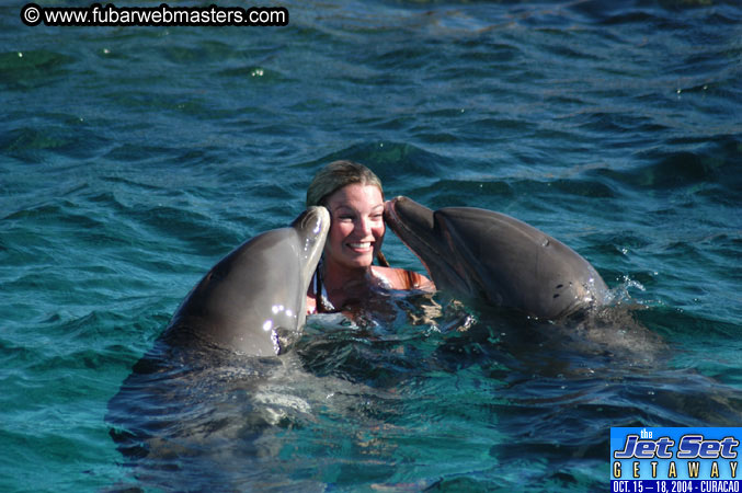 Saturday'sDolphin Swim Adventure and Animal Encounter 2004