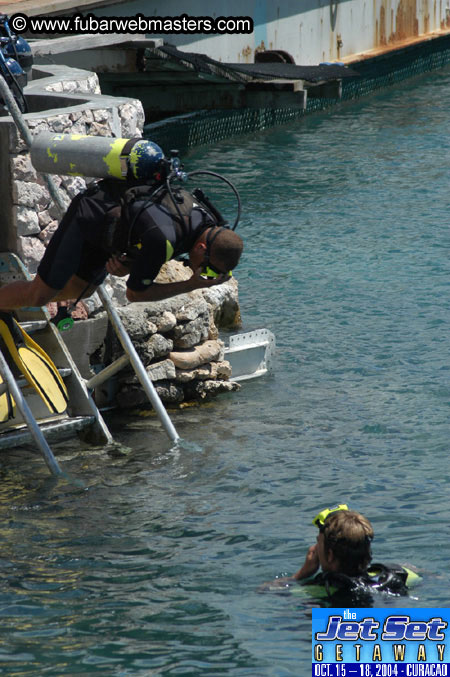 Sunday's Dolphin Swim Adventure and Animal Encounter 2004