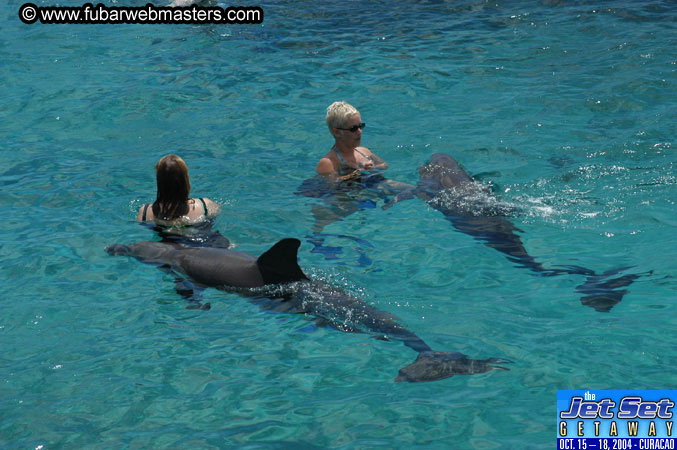 Sunday's Dolphin Swim Adventure and Animal Encounter 2004