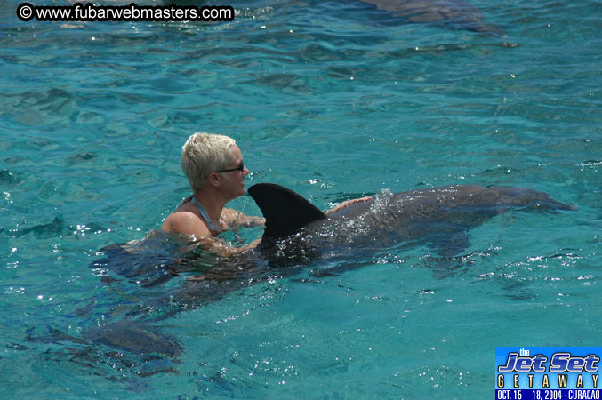 Sunday's Dolphin Swim Adventure and Animal Encounter 2004