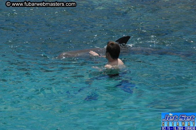 Sunday's Dolphin Swim Adventure and Animal Encounter 2004