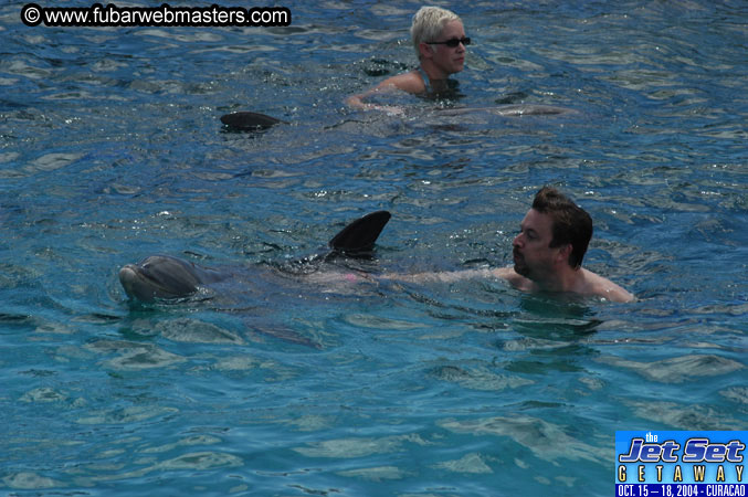 Sunday's Dolphin Swim Adventure and Animal Encounter 2004