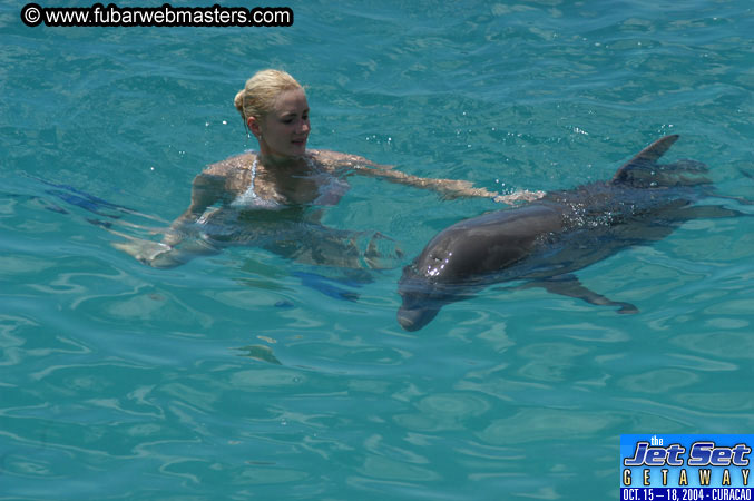 Sunday's Dolphin Swim Adventure and Animal Encounter 2004