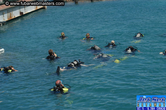 Sunday's Dolphin Swim Adventure and Animal Encounter 2004